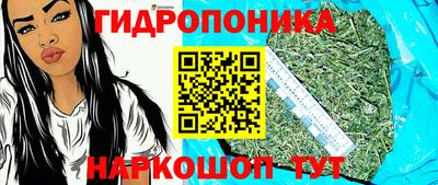 тгк Краснодар