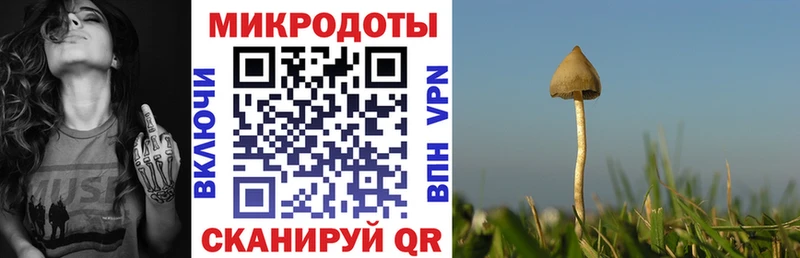 Галлюциногенные грибы Psilocybine cubensis  Усинск 