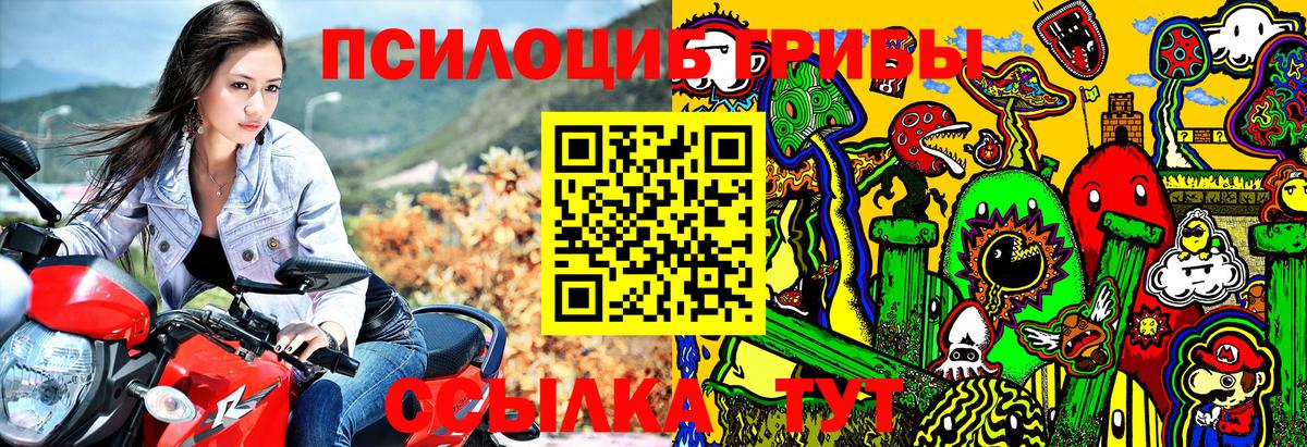 Галлюциногенные грибы Psilocybe  Псилоцибиновые грибы мухоморы  Вход с VPN  Усинск 