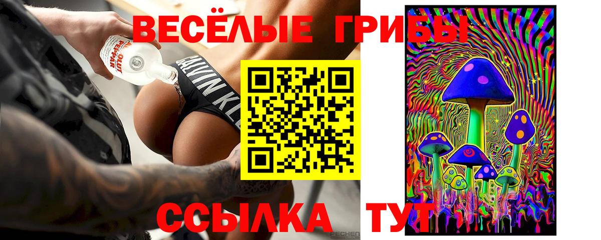 Галлюциногенные грибы GOLDEN TEACHER Усинск